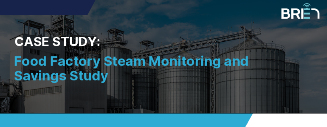 Food Factory Steam Monitoring and Savings Study